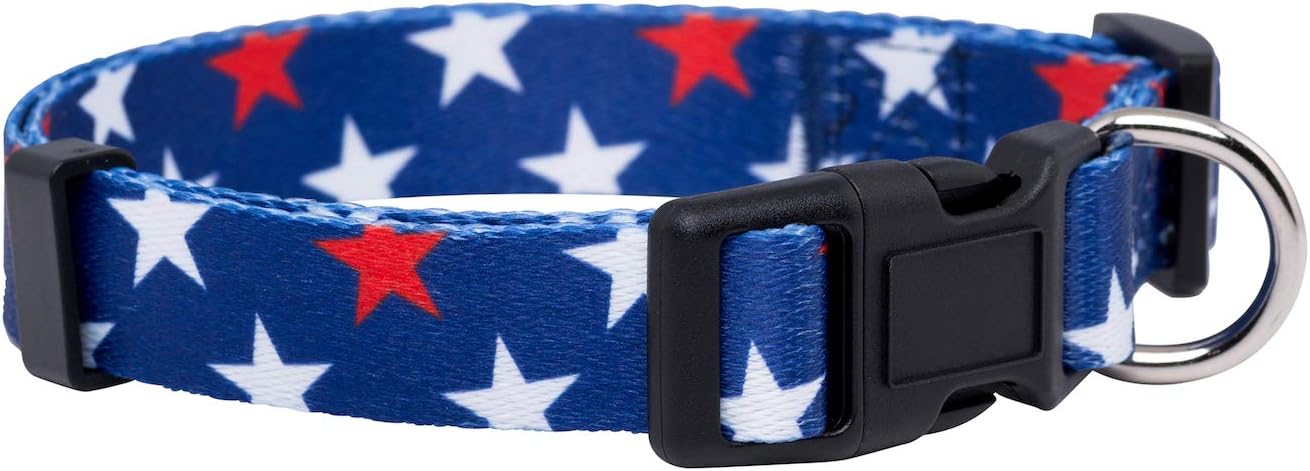 American Flag Dog Collar- Red White and Blue- Patriotic Collars for 4Th of July, USA- Adjustable Small, Medium, Large Breed Dogs (Medium, Flag I)