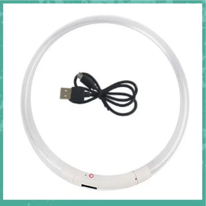 LED Dog Collar, USB Rechargeable Illuminated Pet Dog Collar, 3 Modes, LED Illuminated Anti-Lost Dog Collar
