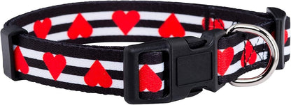 American Flag Dog Collar- Red White and Blue- Patriotic Collars for 4Th of July, USA- Adjustable Small, Medium, Large Breed Dogs (Medium, Flag I)