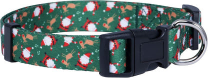 American Flag Dog Collar- Red White and Blue- Patriotic Collars for 4Th of July, USA- Adjustable Small, Medium, Large Breed Dogs (Medium, Flag I)