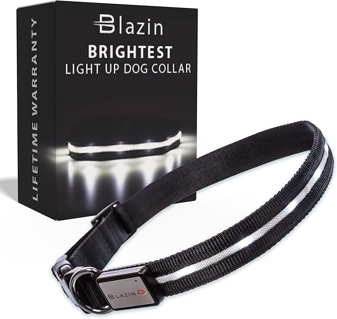 Light up Dog Collar - the Original LED Dog Collar - USB Rechargeable - Waterproof - 1,000 Feet of Visibility - Dog Collar Light for Small, Medium, Large Dogs - US Brand