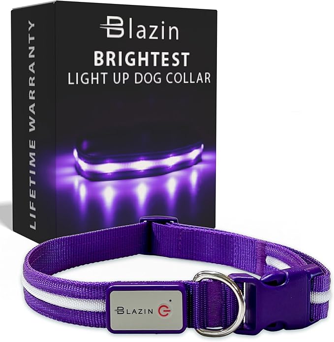 Light up Dog Collar - the Original LED Dog Collar - USB Rechargeable - Waterproof - 1,000 Feet of Visibility - Dog Collar Light for Small, Medium, Large Dogs - US Brand