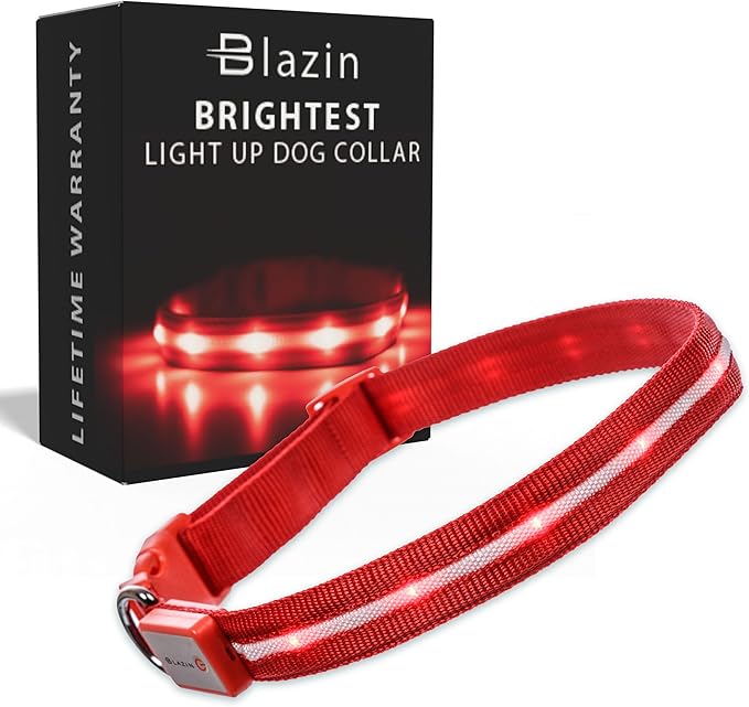 Light up Dog Collar - the Original LED Dog Collar - USB Rechargeable - Waterproof - 1,000 Feet of Visibility - Dog Collar Light for Small, Medium, Large Dogs - US Brand