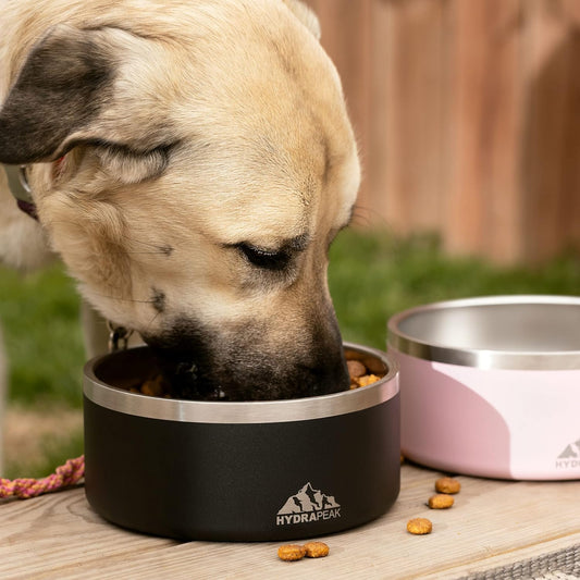 Dog Bowl; Non Slip Stainless Steel; Water and Food Dish; Large Sized and Small Dogs; 32Oz 64Oz; Multiple Sizes; 4 Cup | White