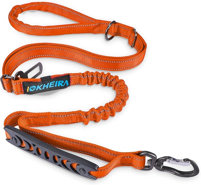 Multifunctional Leash with Car Seatbelt for Large, Medium Dogs, Adjustable, 4-6 FT Strong Bungee Leash